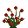File:Poppy.png