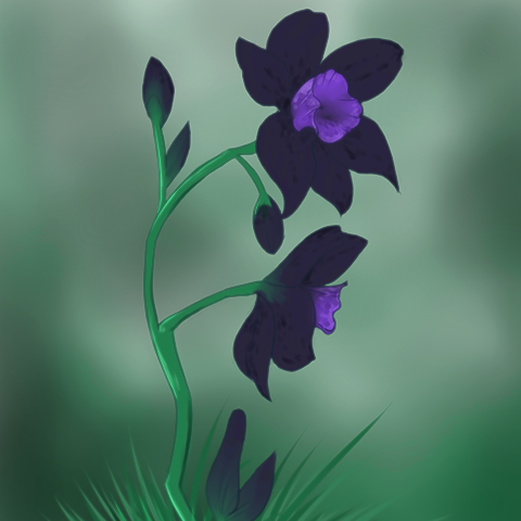 File:Flower resized.png
