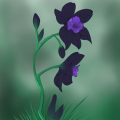 Flower resized.png