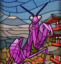 PinkMantis.png